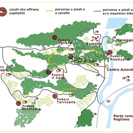 Tenuta Di Corbara Corbara  المظهر الخارجي الصورة