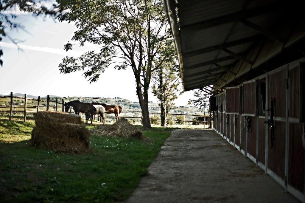 Tenuta Di Corbara Corbara  المظهر الخارجي الصورة
